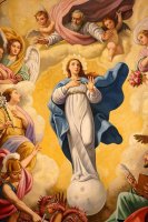 9  - &#8202;   (   )