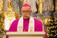    ΅:   Ͳʲ  Ѳ  ˲˲  ǲ ֲ